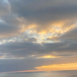 Meet your Posher, Alexa